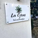 La Cycas Frühstückspension San Vito Lo Capo