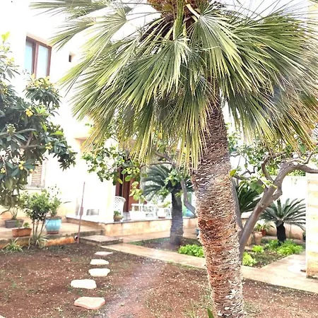 Bed & Breakfast La Cycas San Vito Lo Capo