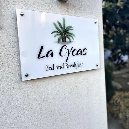 La Cycas Bed & Breakfast San Vito Lo Capo