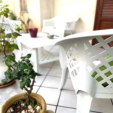 La Cycas Отель типа 