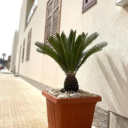 La Cycas Bed & Breakfast *