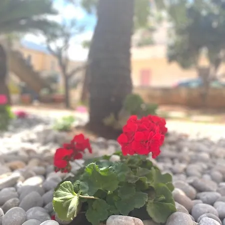La Cycas Bed & Breakfast