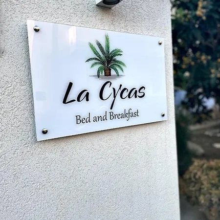 La Cycas Bed & Breakfast *