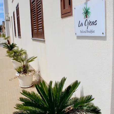 La Cycas